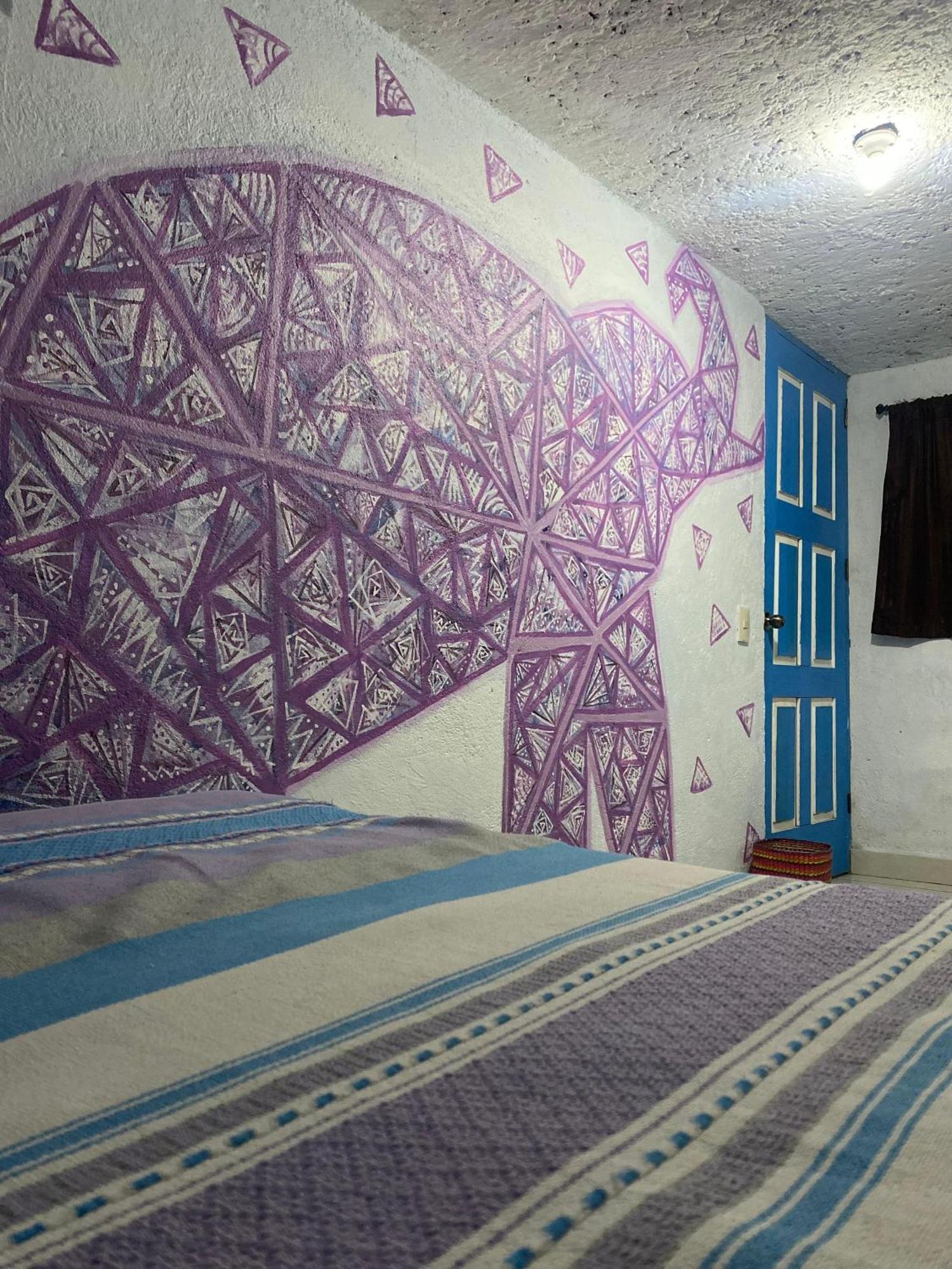 Hostal El Alebrije فالي دي برافو المظهر الخارجي الصورة